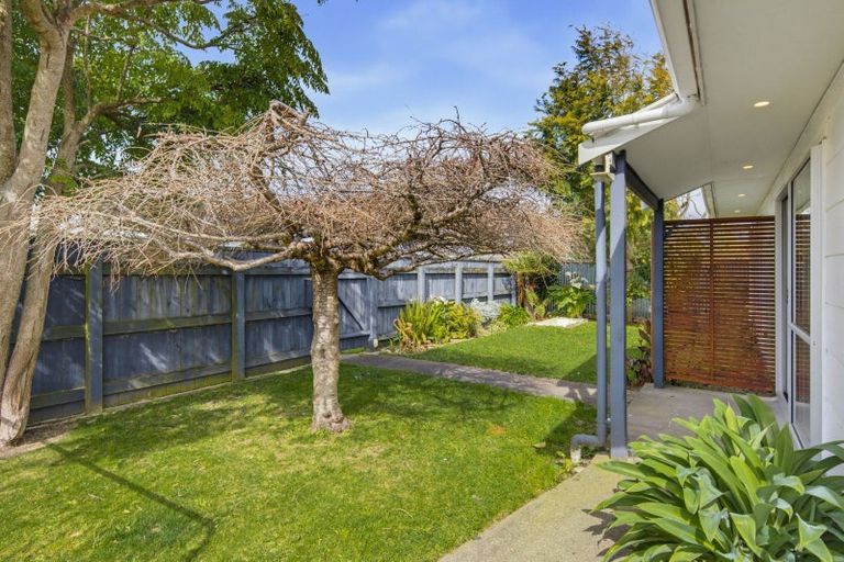 Photo of property in 30 Perth Street, Levin, 5510