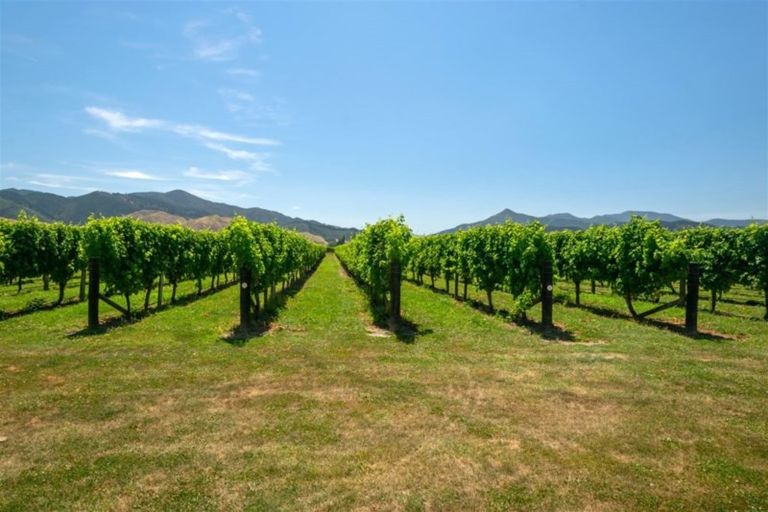 Photo of property in 91 Hillocks Road, Spring Creek, Blenheim, 7273