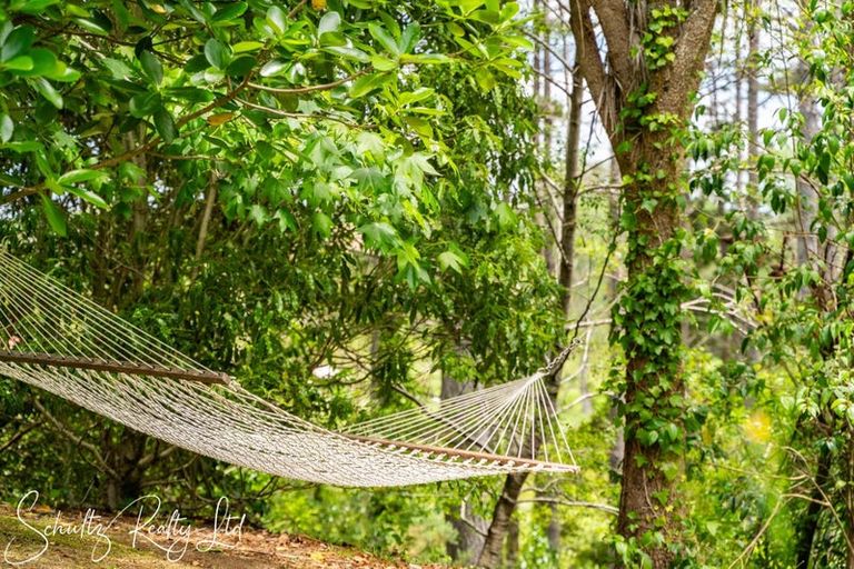 Photo of property in 3251 Paparoa-oakleigh Road, Paparoa, 0571