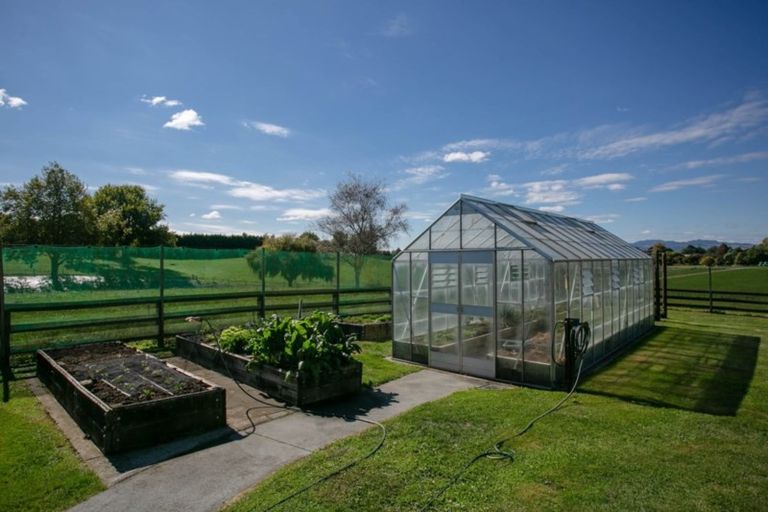 Photo of property in 69 Saint Leger Road, Te Awamutu, 3875