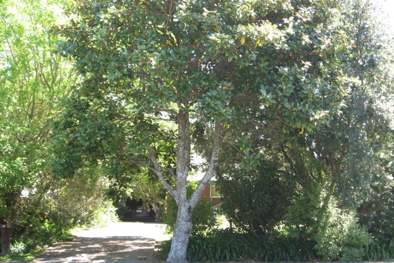 Photo of property in 18 Heatherlea Street, Outer Kaiti, Gisborne, 4010