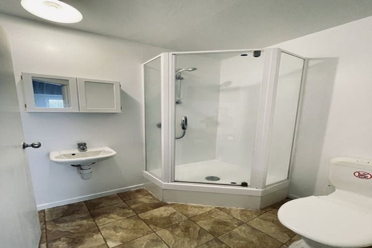 Photo of property in 12 Wellington Street, Hamilton East, Hamilton, 3216