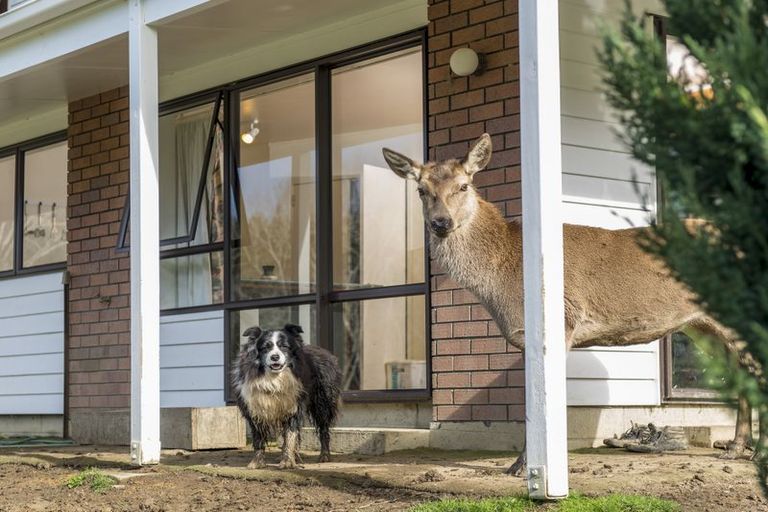 Photo of property in 314 Foster Road, Waimauku, Kumeu, 0891