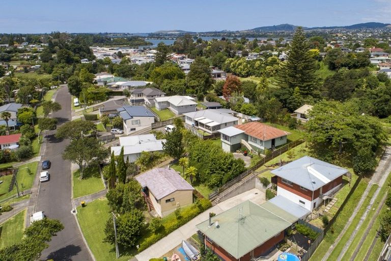Photo of property in 22b Wellesley Grove, Gate Pa, Tauranga, 3112