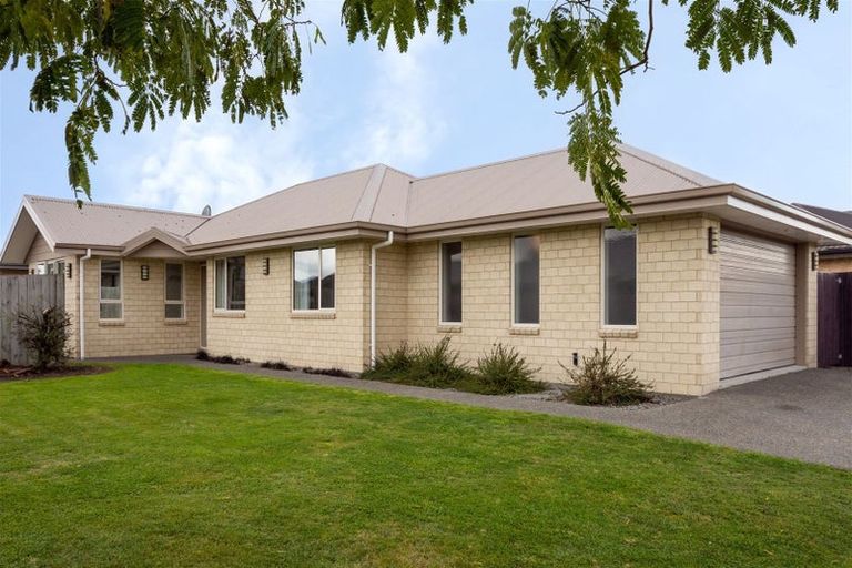 Photo of property in 23 Tremorne Avenue, Blenheim, 7201