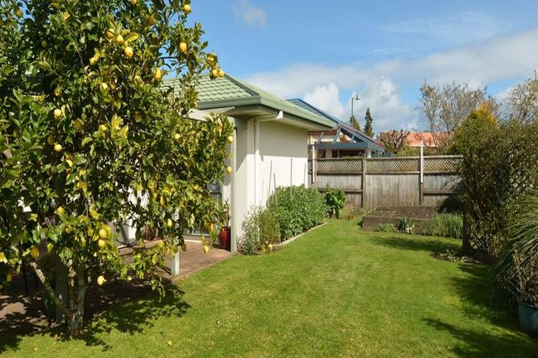 Photo of property in 6 Hinton Place, Pyes Pa, Tauranga, 3112