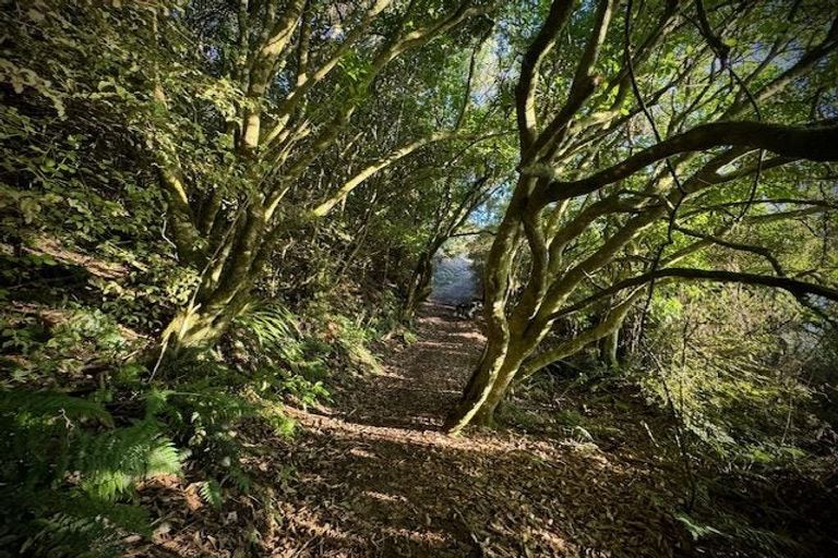 Photo of property in 125 Moturata Road, Taieri Beach, Taieri Mouth, 9091