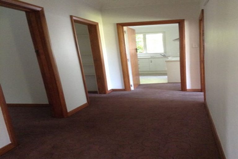 Photo of property in 3 Avon Street, Roslyn, Dunedin, 9010