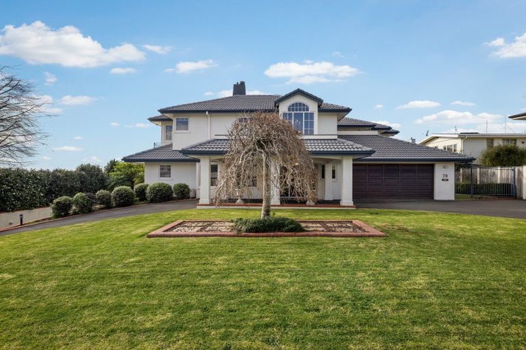 Photo of property in 79 Fifth Avenue, Tauranga, 3110
