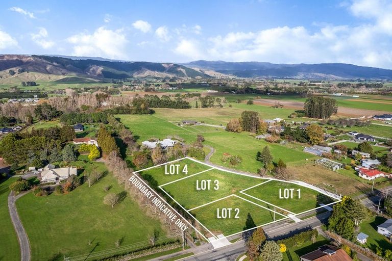 Photo of property in 48 Fairfield Road, Levin, 5510