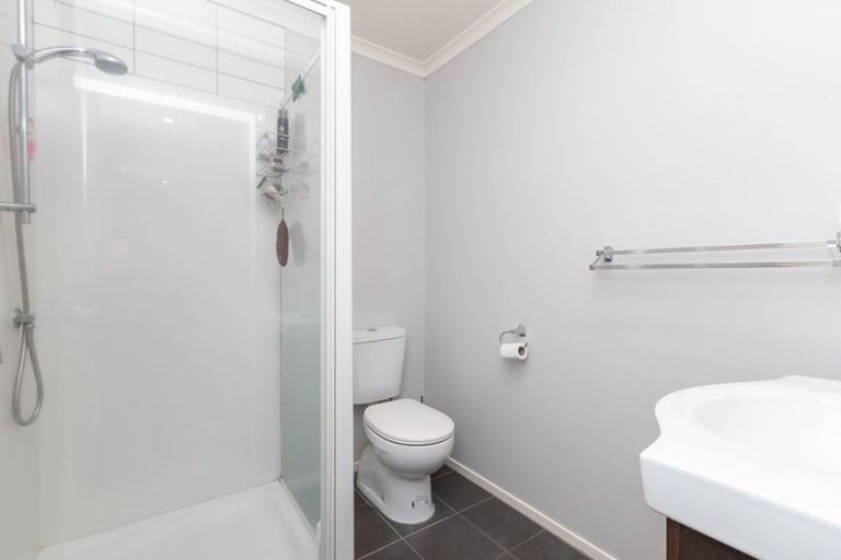 Photo of property in 217a Killarney Road, Frankton, Hamilton, 3204