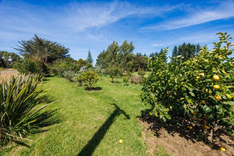 Photo of property in 495 Pohangina Valley Road East, Pohangina, Ashhurst, 4884