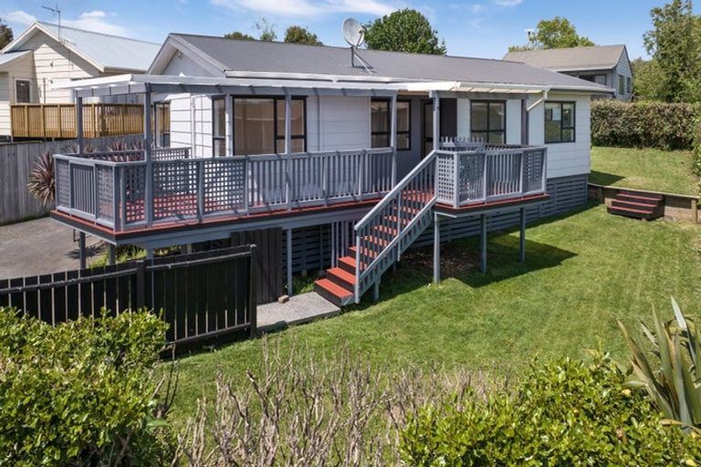 Photo of property in 54 Hinerau Street, Henderson, Auckland, 0612