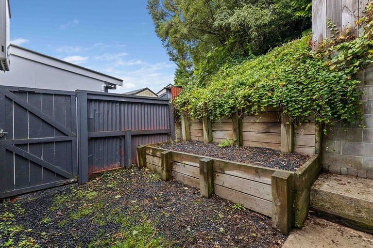 Photo of property in 21 Serpentine Avenue, Dunedin Central, Dunedin, 9016