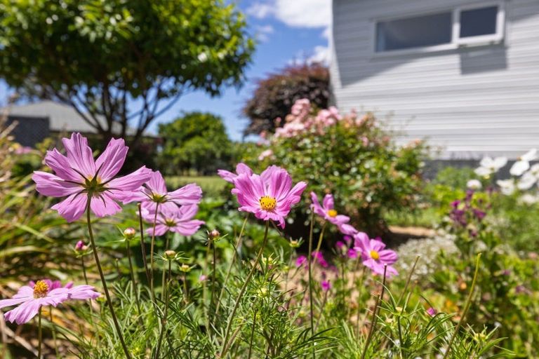 Photo of property in 274 Plummers Point Road, Whakamarama, Tauranga, 3172