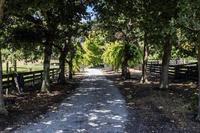 Photo of property in 157 Doubledays Road, Kaiapoi, 7691