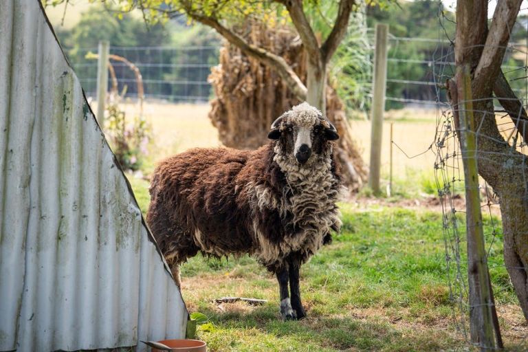 Photo of property in 3 Lockharts Road, Waitahuna, Lawrence, 9593