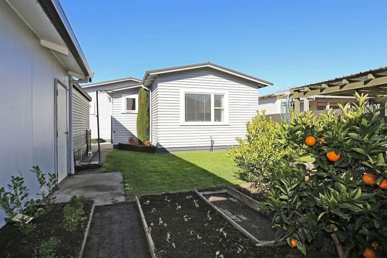 Photo of property in 513 Pepper Street, Saint Leonards, Hastings, 4120