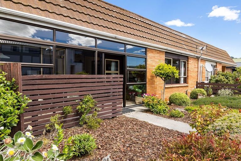 Photo of property in 46a David Street, Caversham, Dunedin, 9012