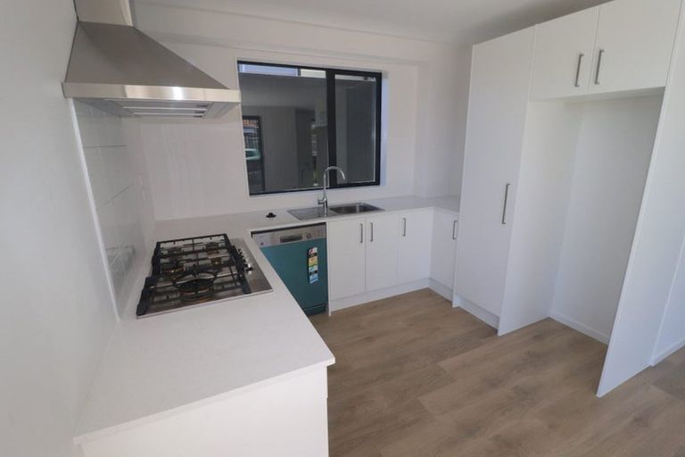 Photo of property in 4 Autumn Blaze Street, Hobsonville, Auckland, 0616