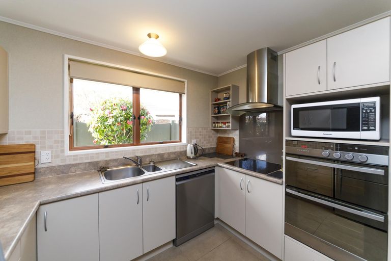 Photo of property in 19 Opawa Place, Terrace End, Palmerston North, 4410