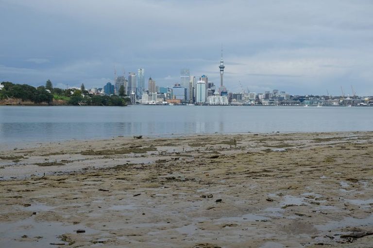 Photo of property in 41 Norwood Road, Bayswater, Auckland, 0622