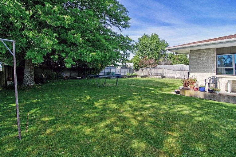 Photo of property in 42 Oak Street, Masterton, 5810