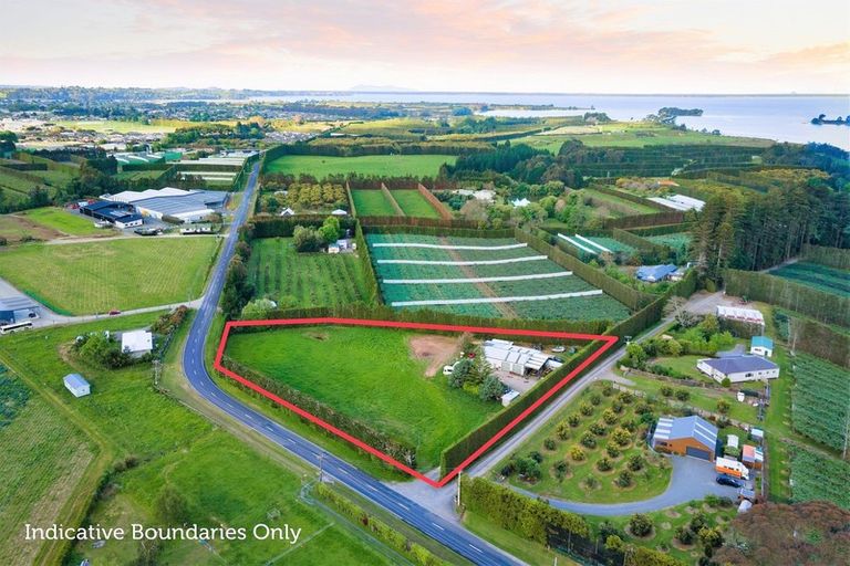 Photo of property in 50 Tetley Road, Tahawai, Katikati, 3178