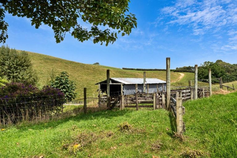 Photo of property in 371 Esdaile Road, Whakamarama, Tauranga, 3180