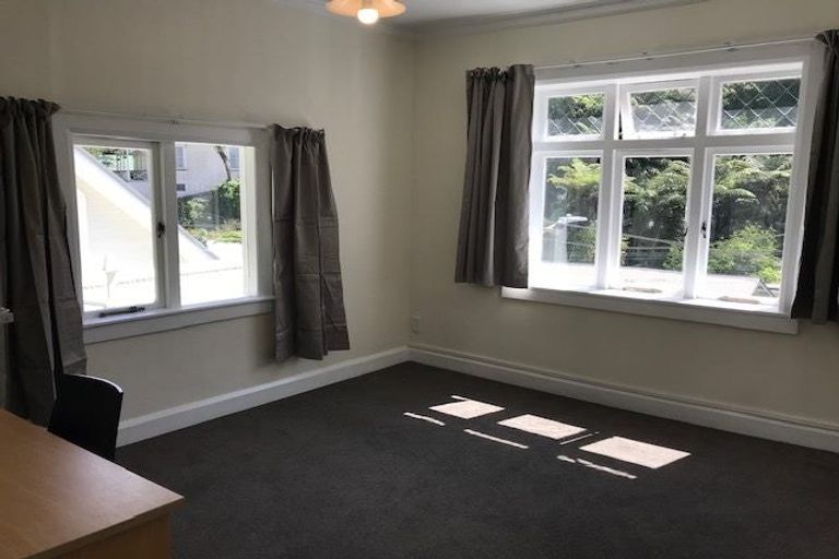 Photo of property in 217 Aro Street, Aro Valley, Wellington, 6021
