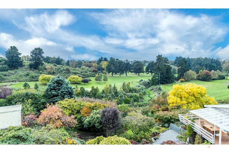 Photo of property in 209a Douglas Street, Highfield, Timaru, 7910