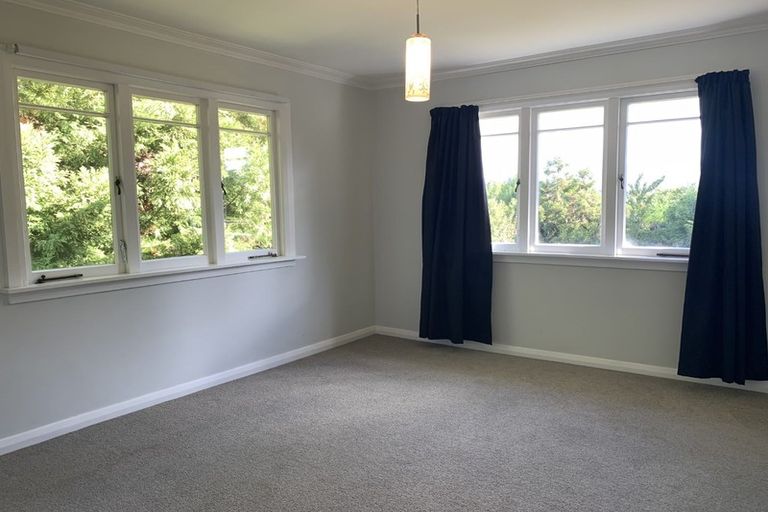 Photo of property in 66 Youngson Road, Whakamarama, Tauranga, 3180