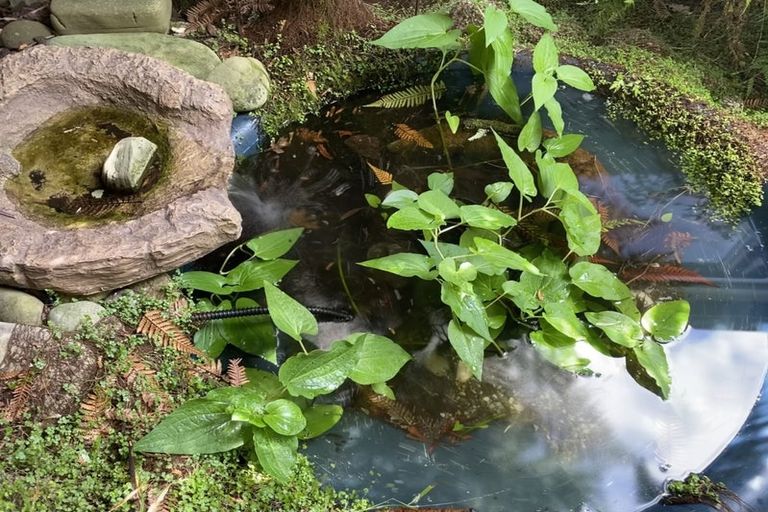 Photo of property in 9 Truscott Grove, Awapuni, Palmerston North, 4412