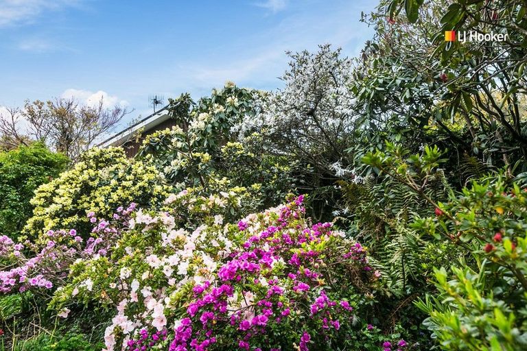 Photo of property in 31 Dunrobin Street, Waverley, Dunedin, 9013