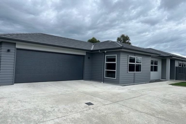 Photo of property in 8 Rangataiki Place, Te Awa, Napier, 4110