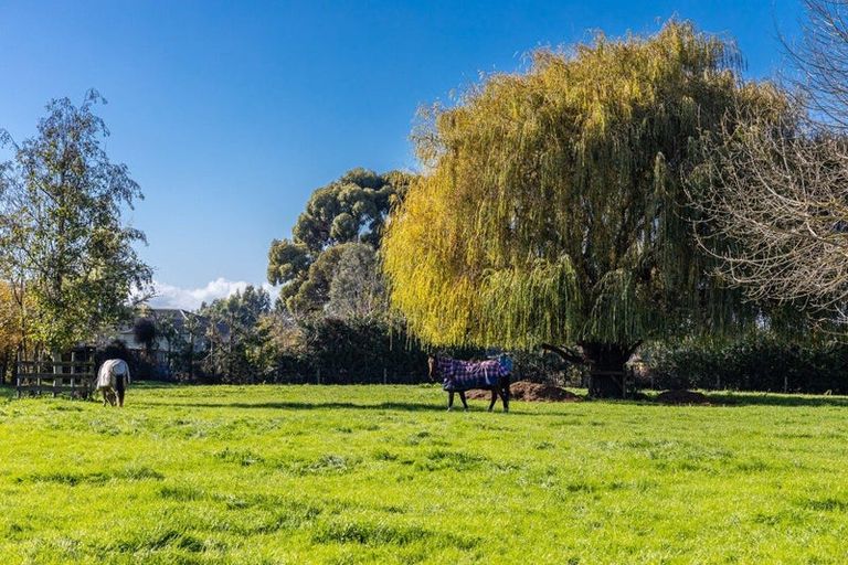 Photo of property in 2d Ferry Road, Spring Creek, 7202