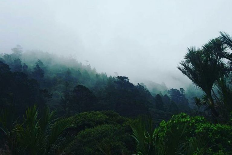 Photo of property in 77 Karekare Road, Karekare, Auckland, 0772