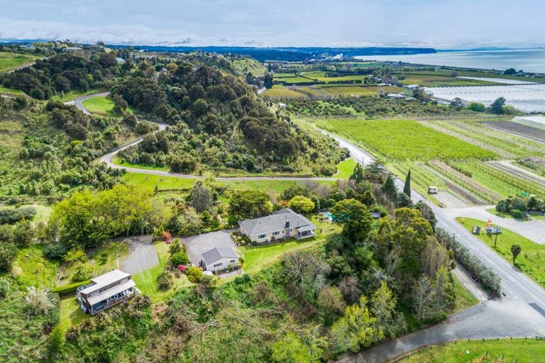 Photo of property in 755 Main North Road, Bay View, Napier, 4182