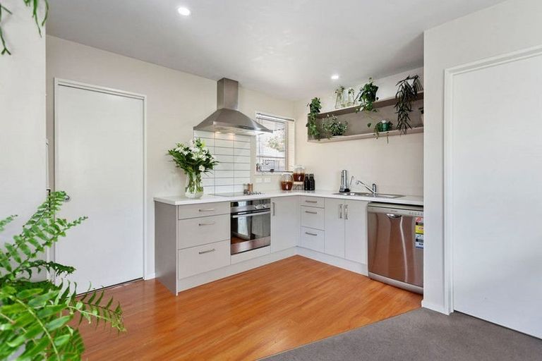 Photo of property in 52 Thackeray Place, Waltham, Christchurch, 8023