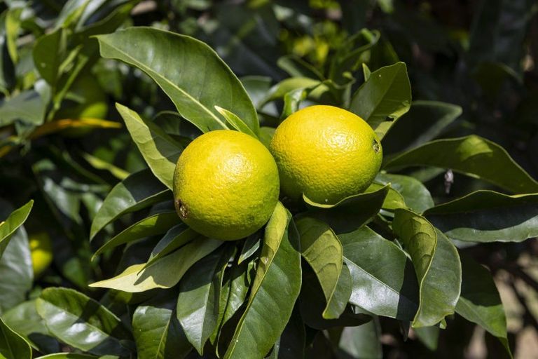 Photo of property in 39 Gangway Road, Totara North, Kaeo, 0479