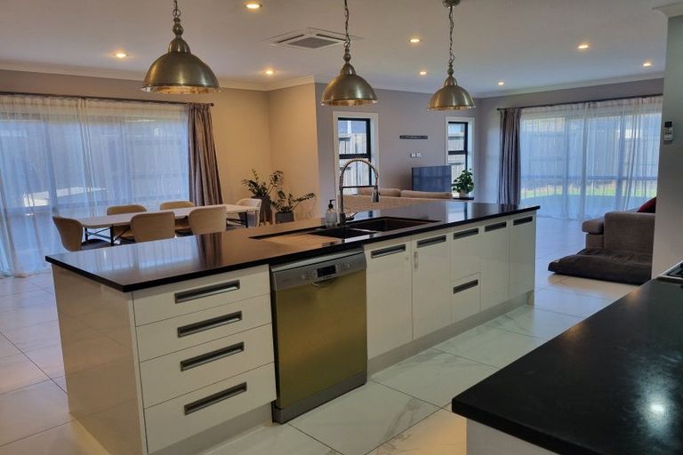 Photo of property in 20 Beaufort Place, Flagstaff, Hamilton, 3210