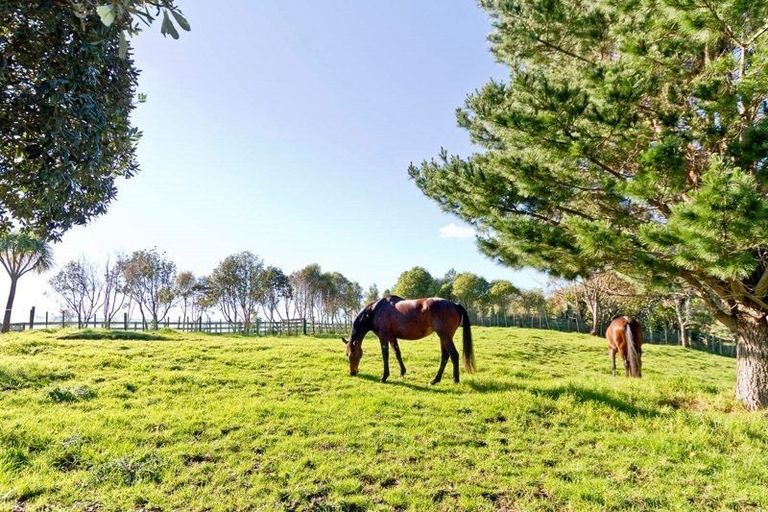 Photo of property in 69 Pipitiwai Drive, Helensville, Kaukapakapa, 0871