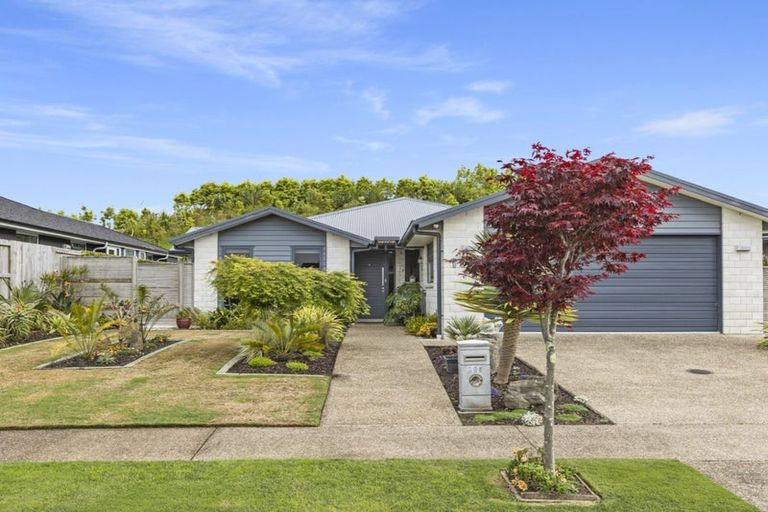 Photo of property in 105 Penetaka Heights, Pyes Pa, Tauranga, 3112