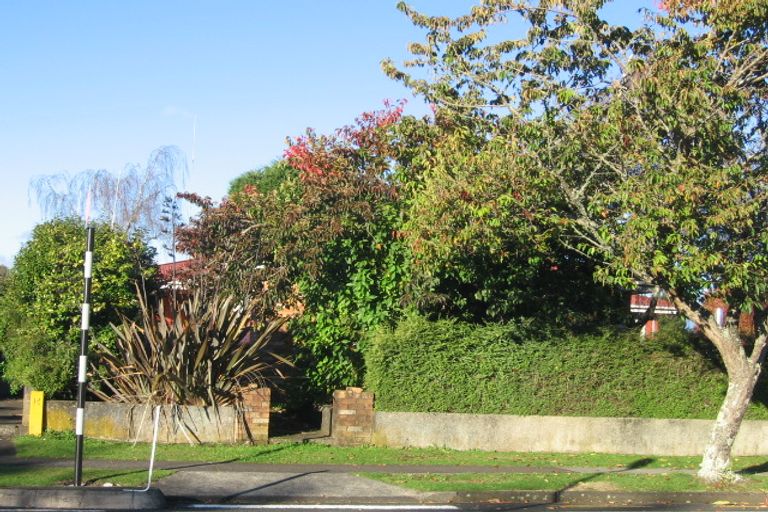 Photo of property in 137 Elizabeth Drive, Tokoroa, 3420