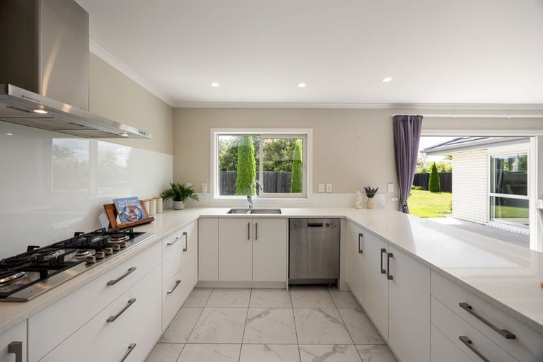 Photo of property in 16 Derwent Place, Flagstaff, Hamilton, 3210