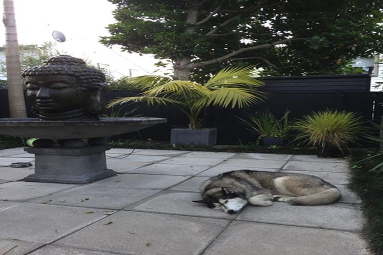 Photo of property in 66 Franklin Road, Freemans Bay, Auckland, 1011