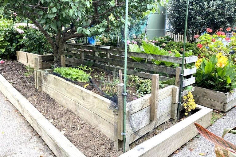 Photo of property in 720 Tararu Sh25 Road, Thames, 3500