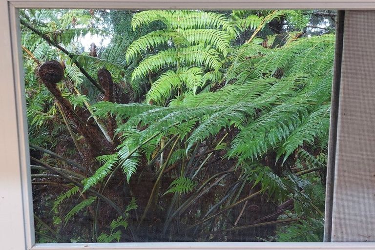 Photo of property in 19 Rauhuia Crescent, Parau, Auckland, 0604