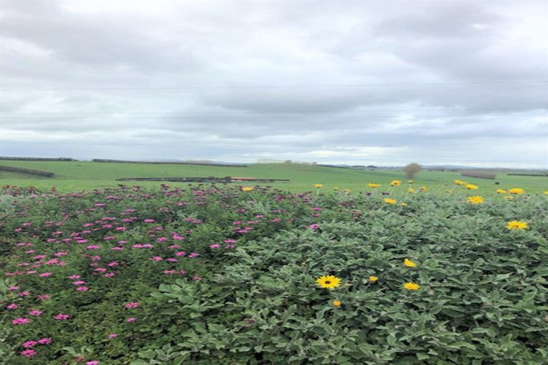 Photo of property in 632b Horsham Downs Road, Horsham Downs, Hamilton, 3281