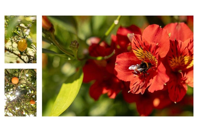 Photo of property in 39 Westwood Street, Bellevue, Tauranga, 3110